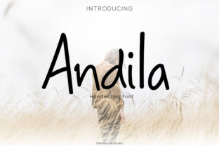 Andila Display Font: Playful Branding for Small Businesses